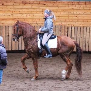 Meet your Posher, Carlie